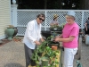 Prepping for Fall Plant Sale