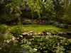 2014 - July Meeting-Garden Tour (3)