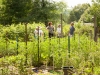 2014 - July Meeting-Garden Tour (4)